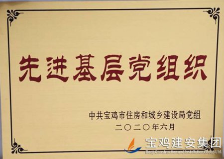 2020年度先進(jìn)基層黨組織